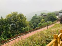 -潭柘厚院&山顶烤肉(潭柘寺店)