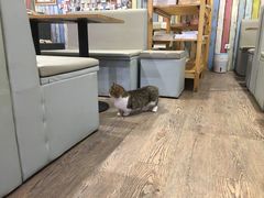 -小时光咖啡馆(开森度假森林店)
