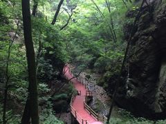 -牛背梁国家森林公园