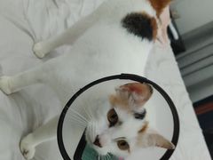 -仁普宠物诊所(住友昌盛新苑店)