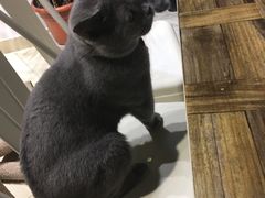 -小时光咖啡馆(开森度假森林店)