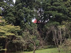 -庐山风景区花径公园
