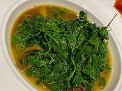 -洋洋中餐馆·SINCE 1997(信投店)