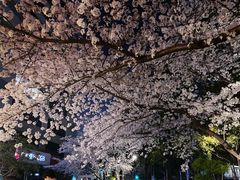 -玛格萝妮比萨屋(四平店)