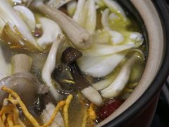 -菌之家·专业纯野生菌火锅·特色炒菌