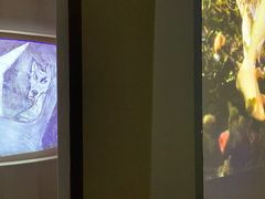 -Nathalie Djurberg与Hans Berg“牛皮纸包裹的月亮”-Prada荣宅当季展览
