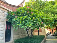 -晋江五店市传统文化旅游区