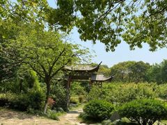 -白马涧龙池景区