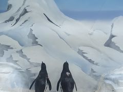 -上海海洋水族馆