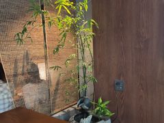 -本处·素食·融合料理(南油店)