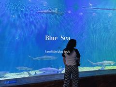 -华夏文旅海洋公园