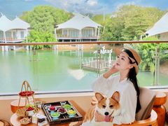 -帐篷客·溪龙茶谷度假酒店