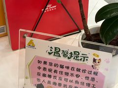 -半岛宠物医院24小时·内窥镜·牙科·碎石中心(府城大道店)