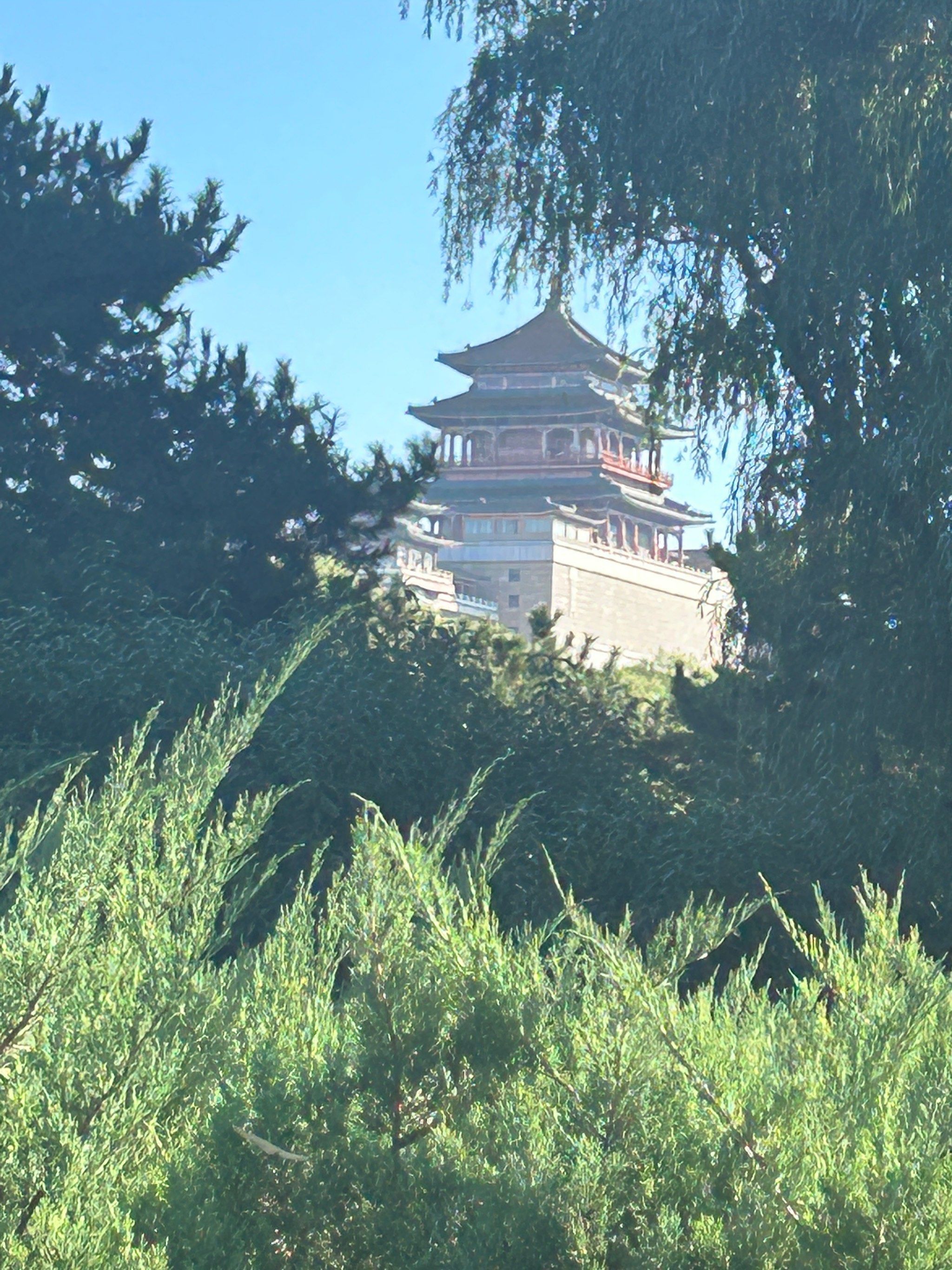 莲花池公园1-2024年10月