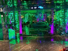 -温莎KTV(珠江路店)
