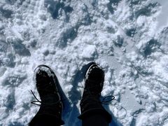 -绿野森林乐园冰雪季