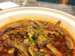 -情妹耙泥鳅·江湖川菜(科华店)