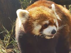 -云南野生动物园