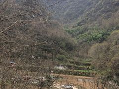-建社鱼庄(管坪店)