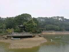 -广州市帽峰山景区