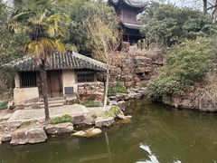 -水绘园