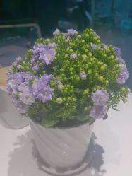 -香秀空间科技抗衰·美容中心