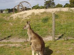 -威勒比开放式动物园