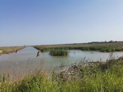 -盐城丹顶鹤湿地生态旅游区