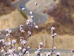 -龙泉峪长城