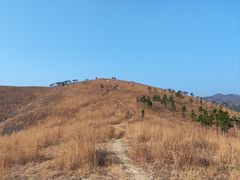 -盘龙城国家考古遗址公园