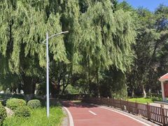 -北陵公园