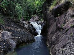 -广州白江湖森林公园
