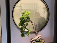-豫丰汇河南名菜楼(武记餐饮)