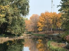 -大望京公园