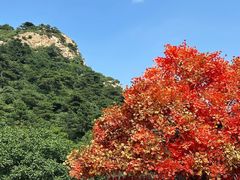 -大芦花风景区