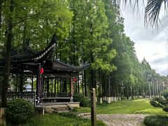 -江心屿景区