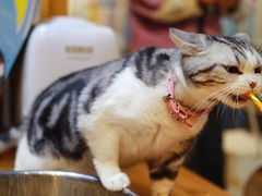 -小时光咖啡馆(开森度假森林店)