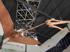 -湖南省地质博物馆