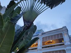 -Long Bar(莱佛士酒店)