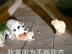 -星巴克(成都科学城店)