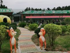 -西霞口神雕山野生动物世界