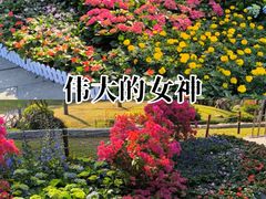 -云溪植物园