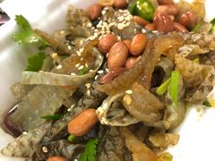 -陈添記·祖傳爽鱼皮·西关老字号(广州首店)