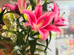 -润生堂(泰然四路店)