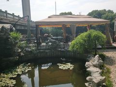 -漫渡庄绿岛花园•隐世庭园菜(滨湖店)