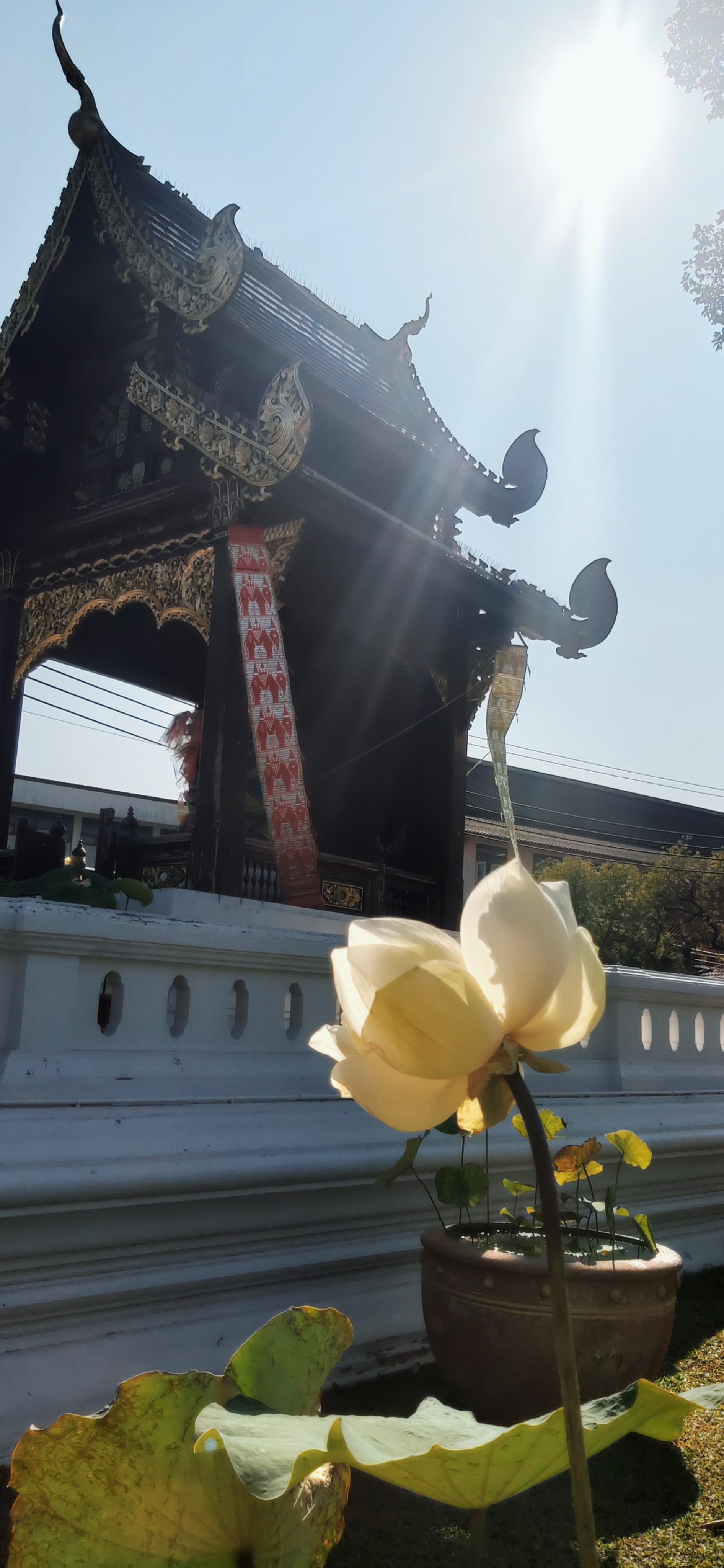 上海莲花寺简介图片