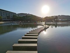 -上海佘山世茂艾美酒店