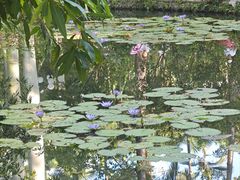 -勝記酒家·37年老字号·经典粤菜(荔枝公园店)