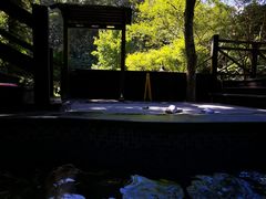 -宁海森林温泉