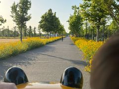 -嘉北郊野公园